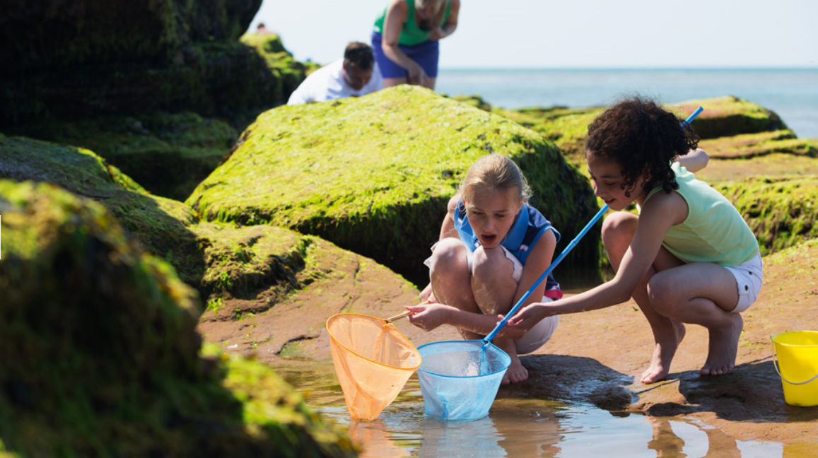 Berwick Holiday Park